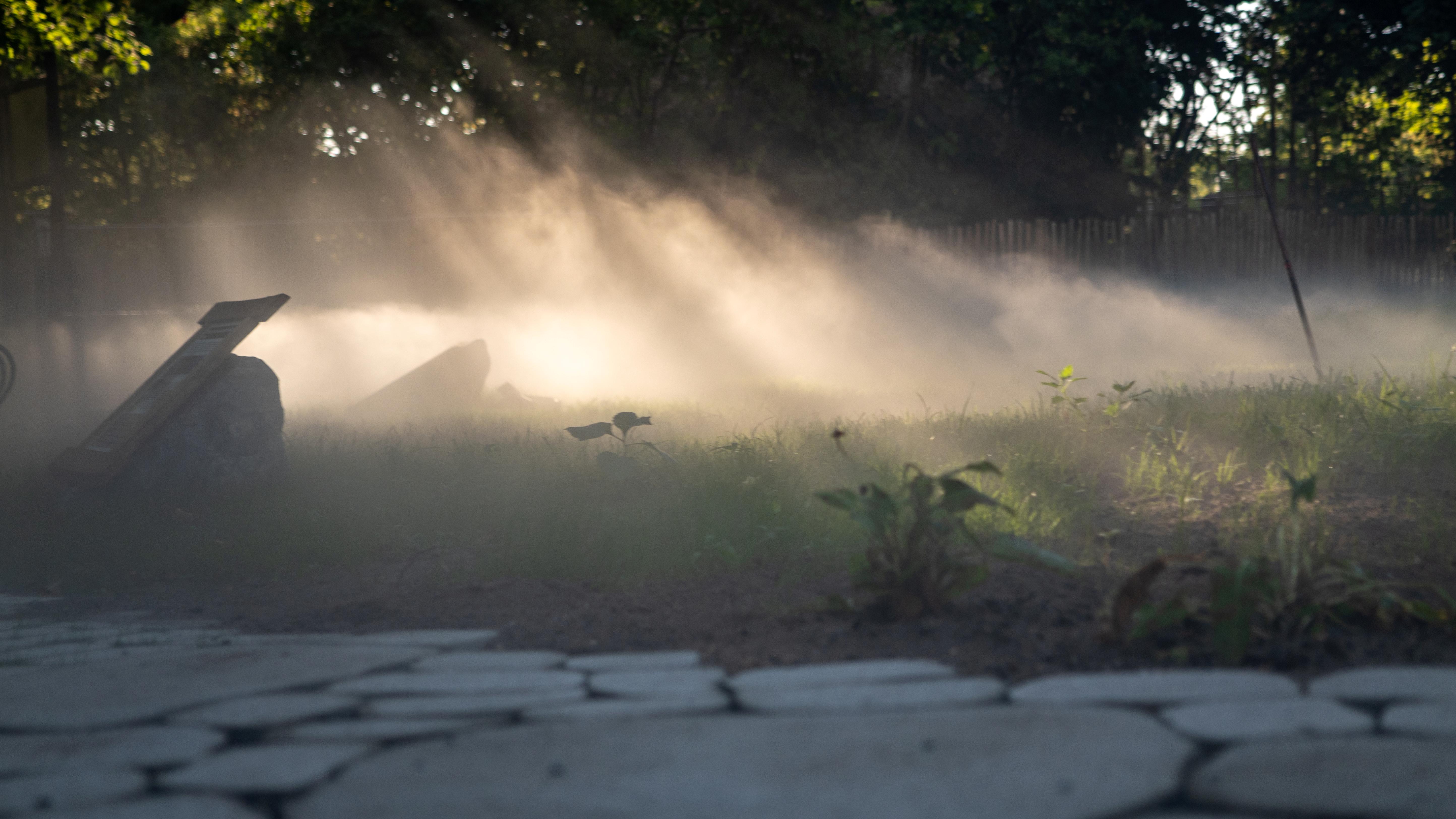 Sonnenlicht bricht sich durch den Nebel auf der Sparkassen-Auenlandschaft