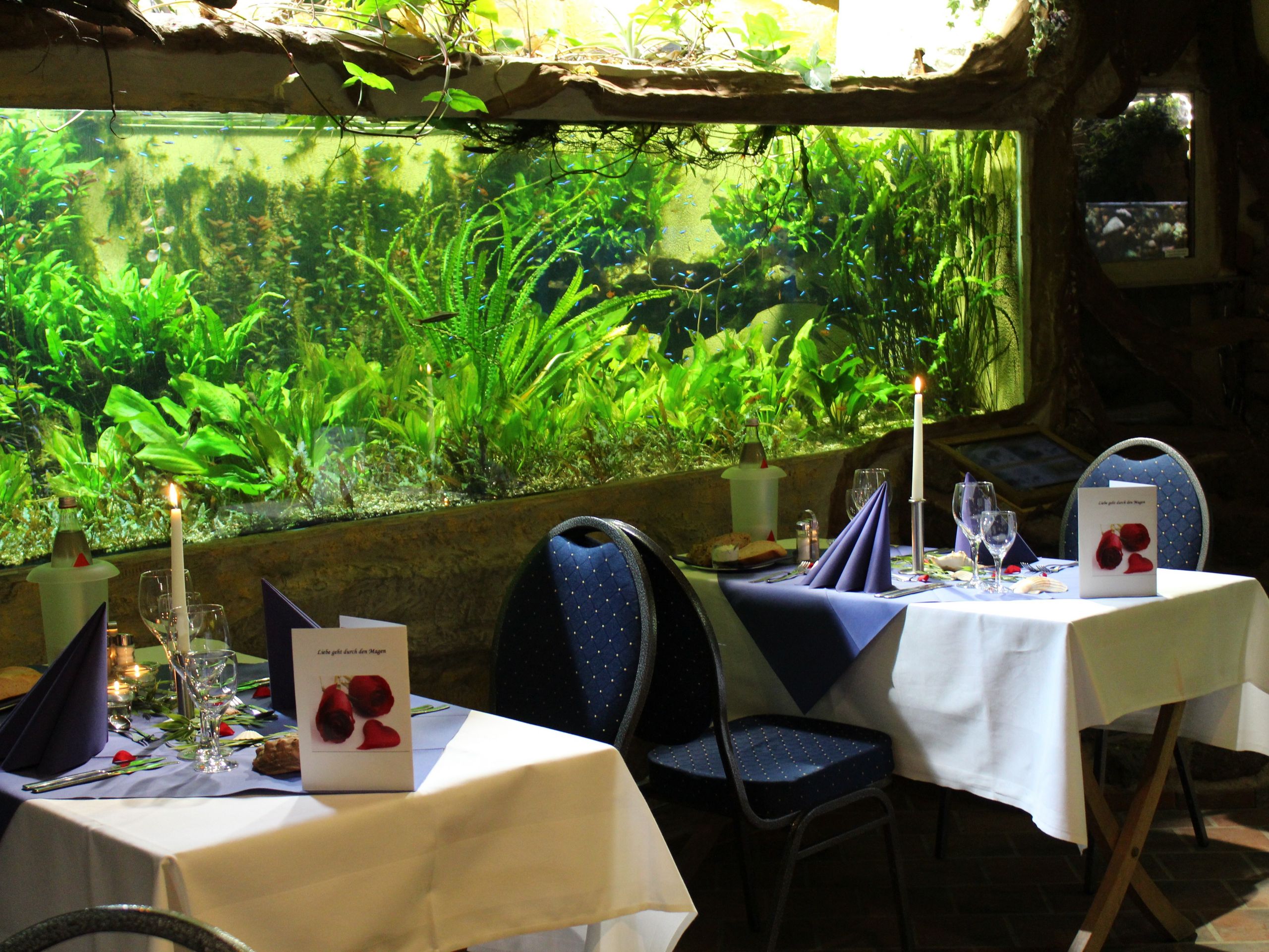 Ein elegant gedeckter Tisch steht vor dem Fenster eines großen Aquariums im Zoo Osnabrück