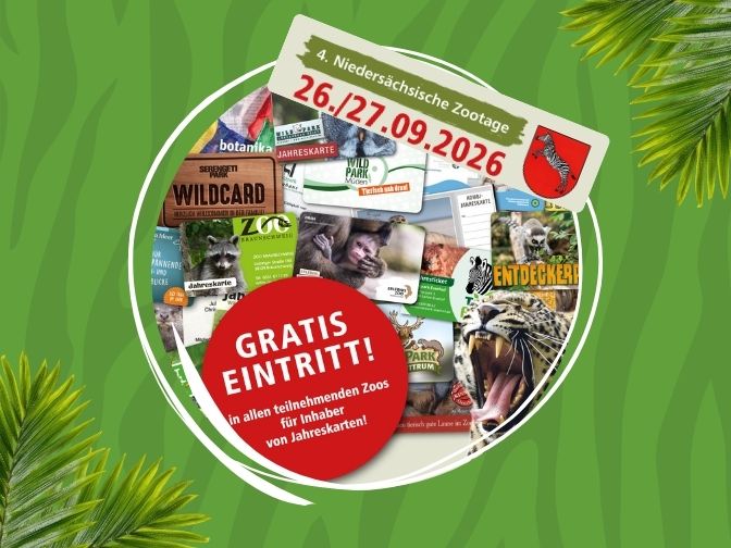 Niedersächsische Zootage Jahreskartencollage der teilnehmenden Zoos vor einem grünen Zebramuster