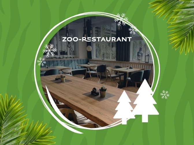 Gastraum des Zoo-Restaurants mit weihnachtlichen Gestaltungselementen vor grünem Zebramuster
