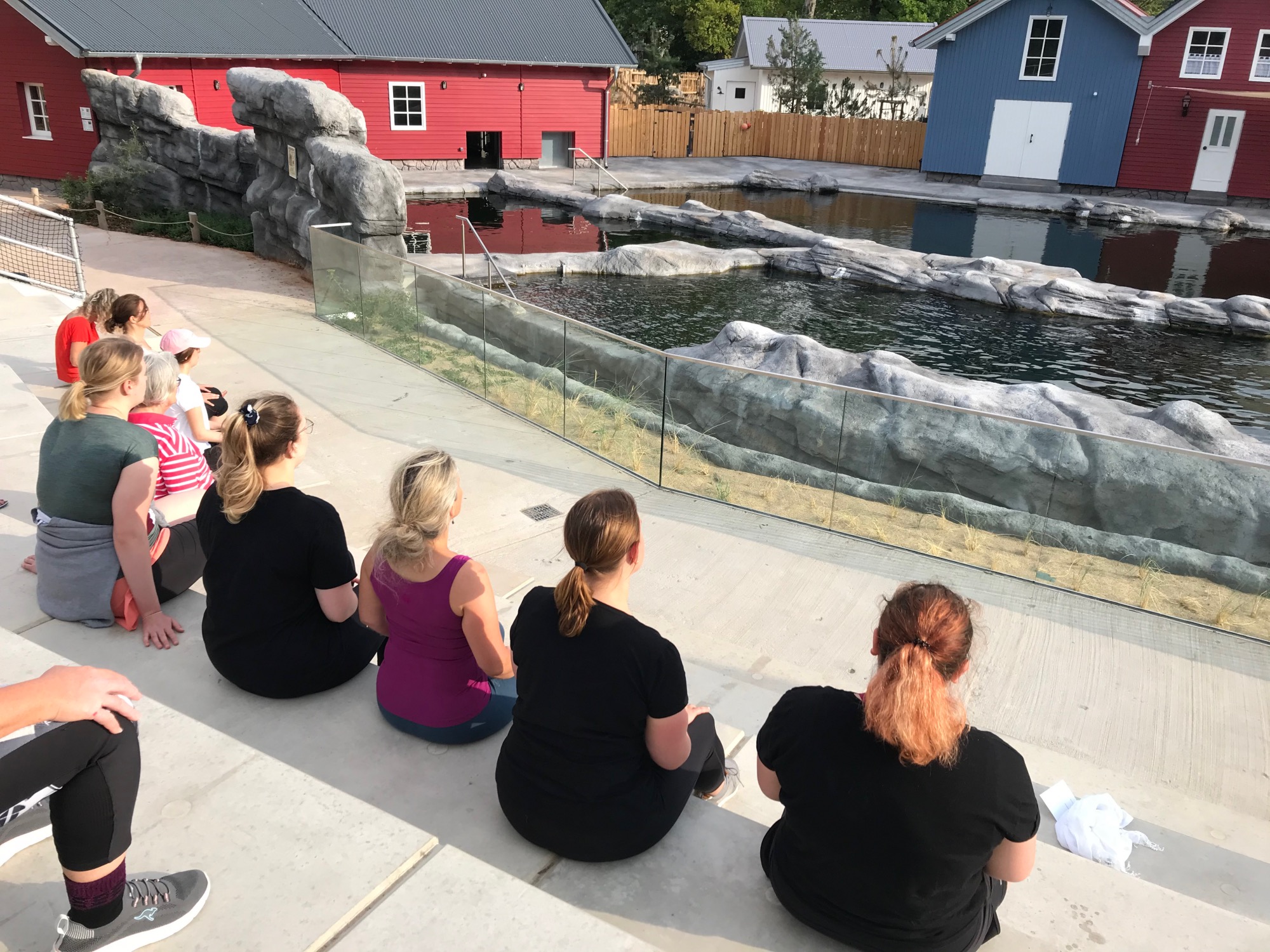 Yoga für Artenvielfalt | Mehrere Termine ab 22.05.2026 Neun Menschen sitzen auf Stufen und schauen auf ein Gehege mit Wasser und Steinen.