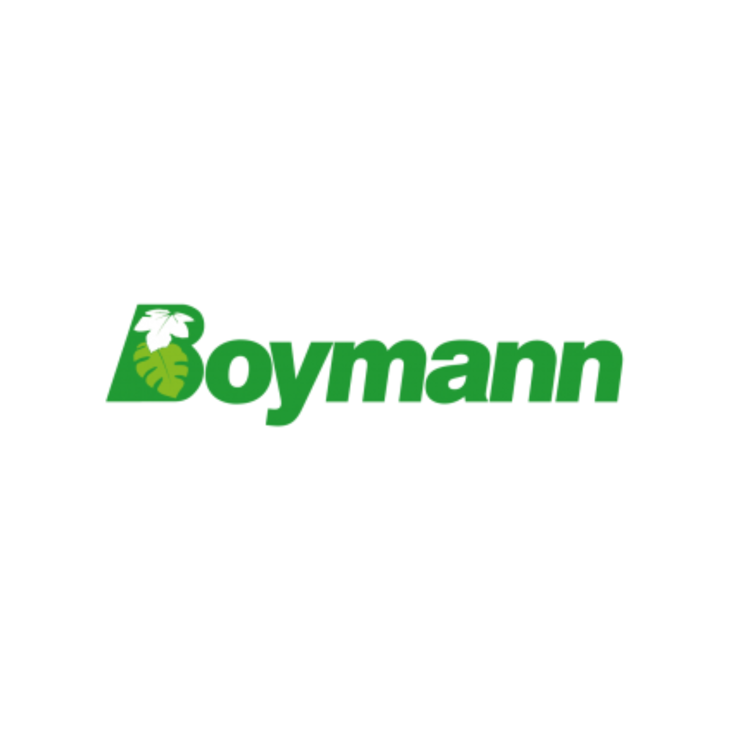 Logo Boymann