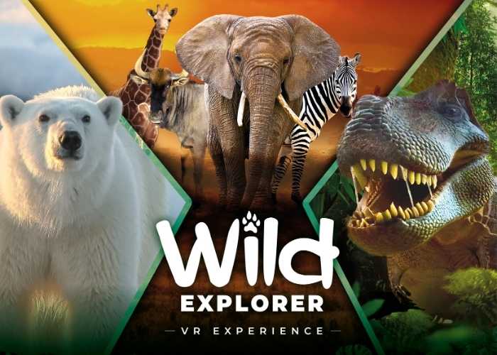 Key Visual der Wild Explorer VR Experience
