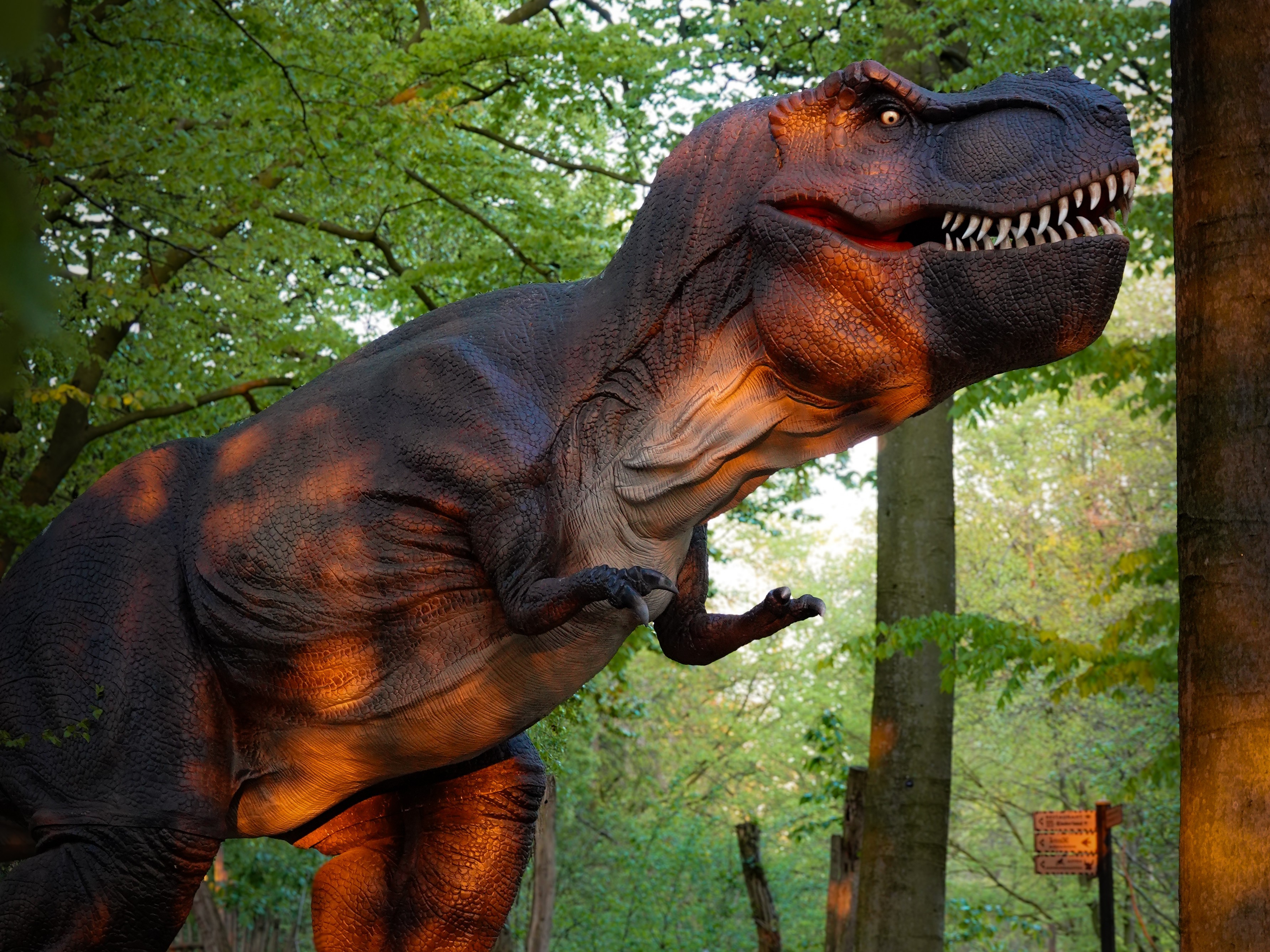Die Figur eines lebensgroßen T-Rex im Abendlicht der untergehenden Sonne vor einer Waldkulisse