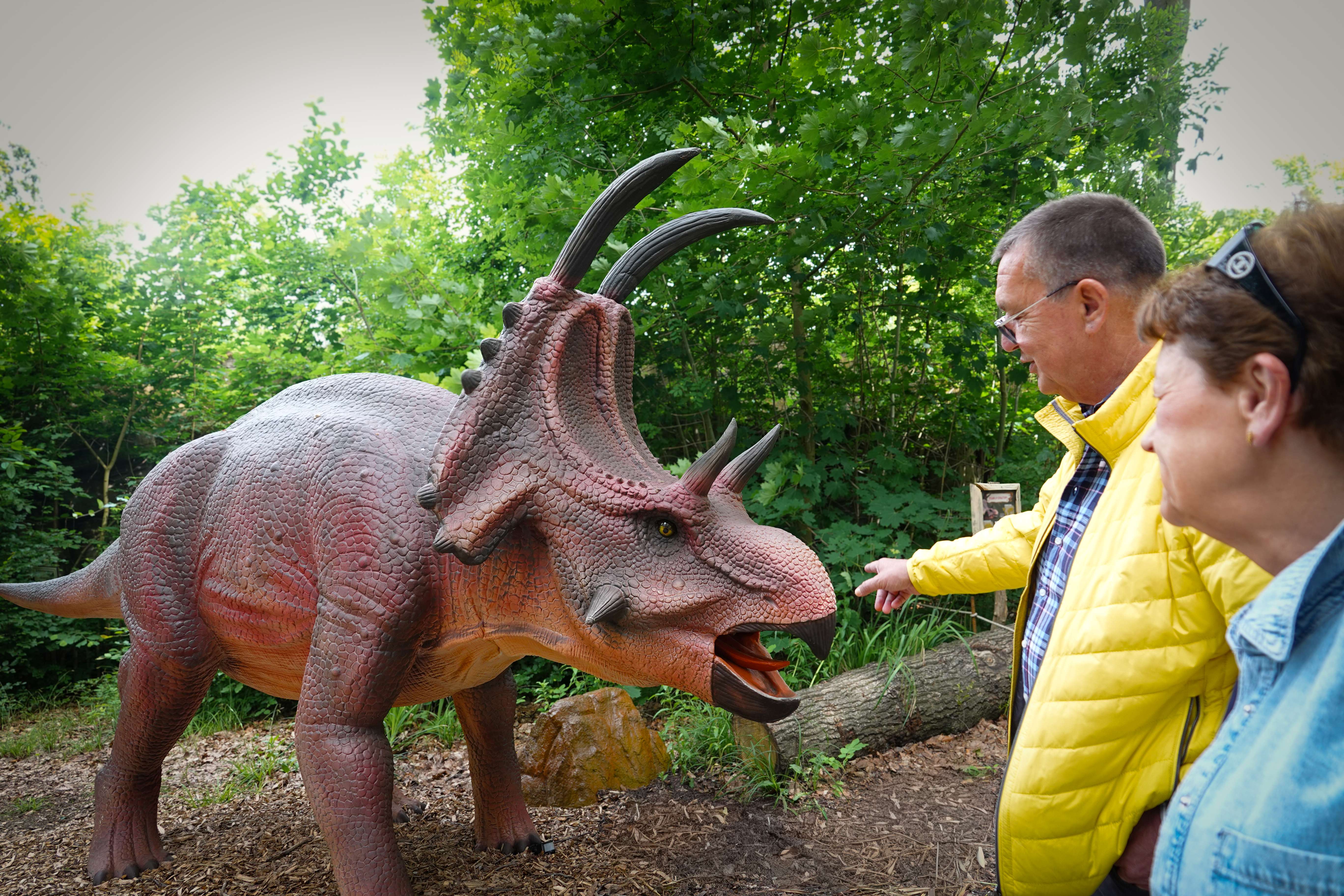 Neben der Figur eines Diabloceratops stehen ein Mann und eine Frau, die ihn betrachten