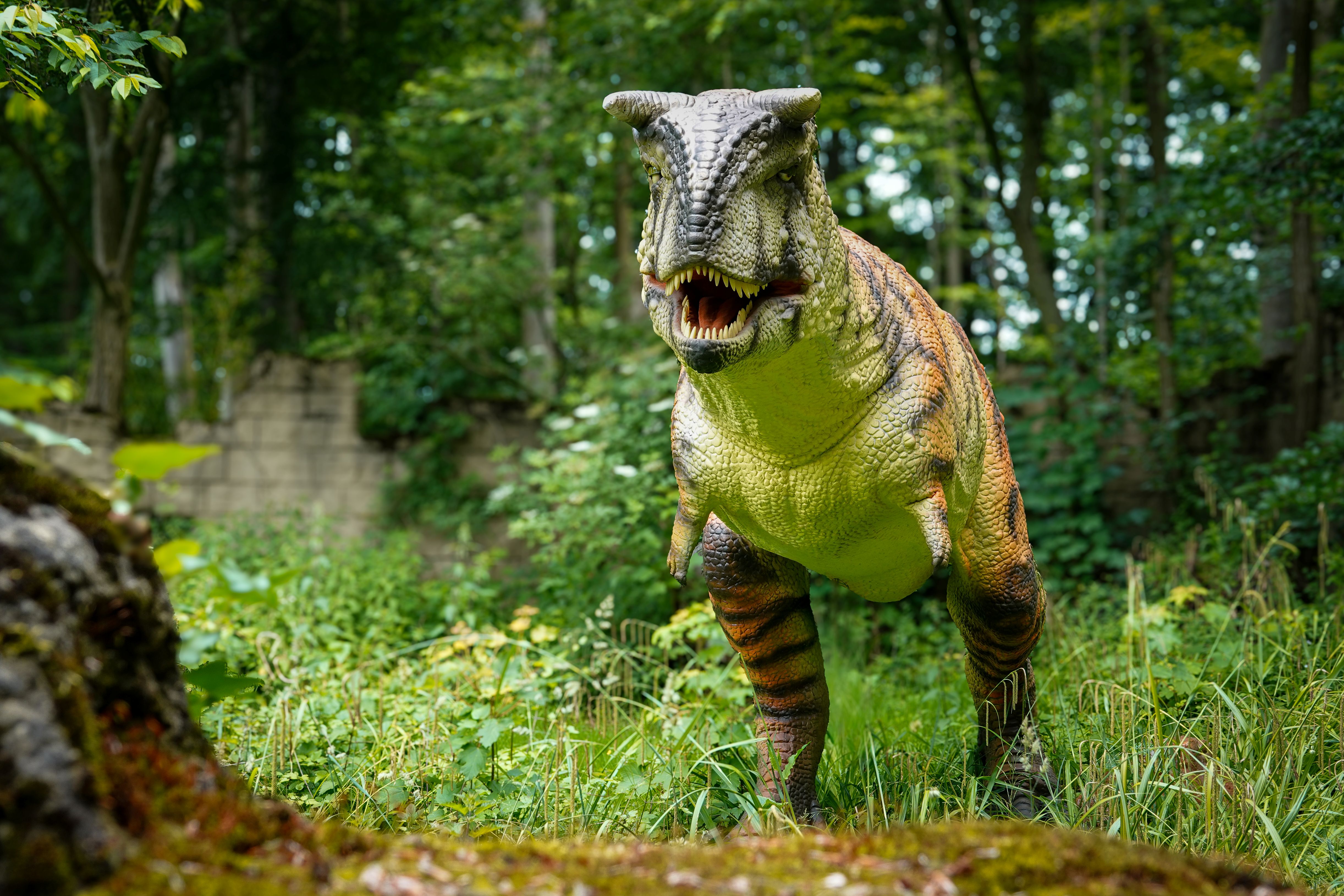 Figur eines Carnotaurus im hochgewachsenen Gras