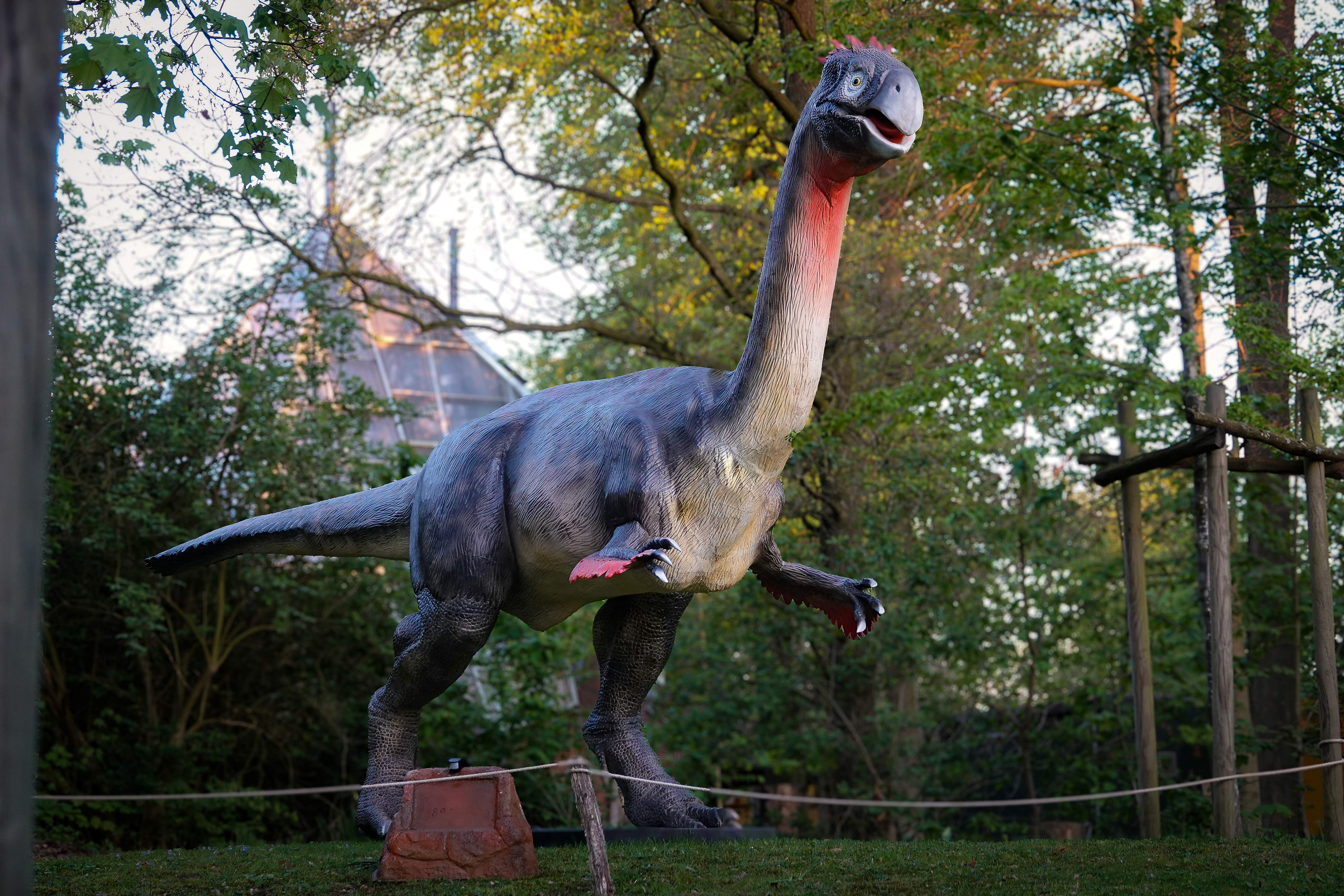Ein Gigantoraptor mit Grauem Körper und rotem Hals steht auf einer Wiese