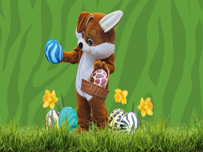Ostern im Zoo | 03./05./06.04.2026 Eine Collage aus Osterhase, Ostereiern mit Animalprint und Osterglöckchen