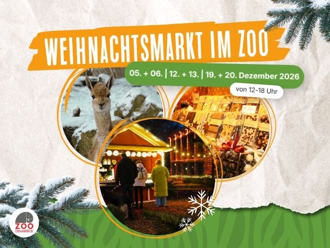 Collage mit Text "Weihnachtsmarkt im Zoo / 5.+.6. / 12.+13. / 19.+20. Dezember" und Fotos von beleuchteten Weihnachtsmarktbuden und Zootieren