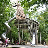 Giraffenrutsche auf dem Giraffenspielplatz